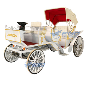 Carrosses de Mariage Électriques Spéciaux pour Visites Touristiques, Prix Usine, Transport de Luxe, à Vendre - Product Image 1
