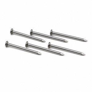 Clous en acier au carbone Q195 à tête plate et tige lisse, finition brillante, polis, marqués CE, pour l'assemblage de fixations, service OEM - Product Image 1