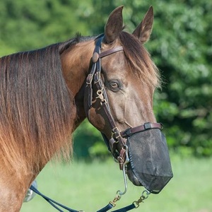 Couvre-moustiquaire pour nez de cheval, maille respirante noire pour l'équitation - Product Image 1