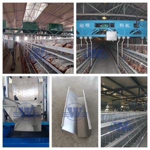 Machine de formage à rouleaux pour profilés de mangeoires à volailles, machine de formage à rouleaux pour profilés métalliques - Product Image 6