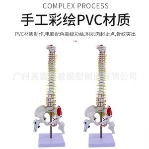 45CM - Product Image 4