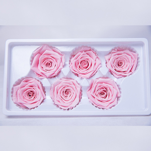 Hflora <span class=keywords><strong>Rosas</strong></span> Eternas Preservadas de Primera Calidad, <span class=keywords><strong>Rosas</strong></span> Eternas de Alta Calidad para el Día de San Valentín, Caja Cuadrada de 5-6 cm - Product Image 3