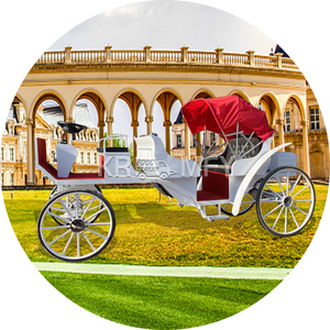 Carruaje Eléctrico de Lujo de 48V, 4 Ruedas, Estilo Victoria, para Paseos Turísticos, con Batería, 150-250HP, para 4-6 Personas - Product Image 5