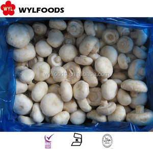 Nấm Champignon đông lạnh chất lượng cao, vụ mới, không tẩy trắng, nguyên quả, đông lạnh nhanh <span class=keywords><strong>IQF</strong></span> - Product Image 5