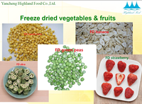 Légumes séchés fruits, 20g, légumes frais, épices, aliments pour animaux domestiques