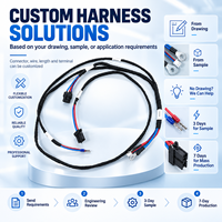 Harnais de câblage électrique personnalisé OEM avec borne annulaire pour équipement automobile, moto et industriel