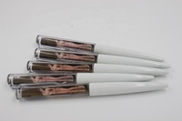 Stylo à bille personnalisé avec liquide flottant, femme nue sexy
