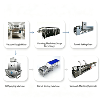 Ligne de production industrielle de biscuits de haute qualité, machine à fabriquer des biscuits croustillants, des biscuits aux noix, des biscuits Marie
