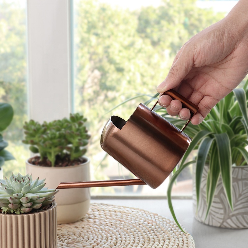 Regadera Transparente 1.2L Con Caño Largo: La Herramienta De Riego Ideal Para Tus Plantas De Interior Y Jardín - Diseño Nórdico (Rojo)