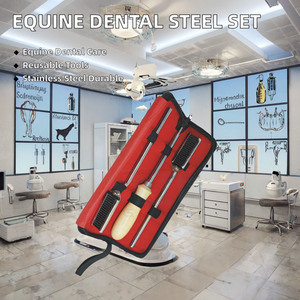 2024 Kit de flotteurs et râpes dentaires pour chevaux en acier inoxydable de haute qualité, droits, angulaires, réglables, réutilisables, Liberta International - Product Image 2