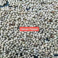 Extrait de poivre noir de qualité alimentaire Healthife en poudre 95% 98% de piperine, complément alimentaire à base de plantes