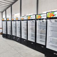Réfrigérateur ouvert multi-étagères commercial, rideau d'air, refroidisseur de boissons, refroidissement par air, étagères réglables, contrôle LED pour l'affichage en supermarché