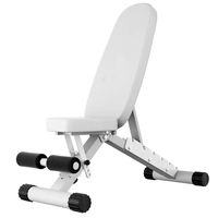 S & H vente en gros exercice Gym banc de musculation Fitness intérieur musculation chaise réglable banc d'haltères
