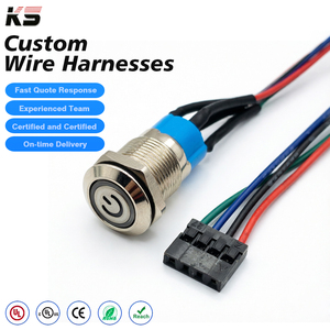 Maßgefertigter Elektronischer Schalter LED-Licht Computer DuPont Momentaner Metall-Druckknopfschalter mit Kabelbaum - Product Image 1