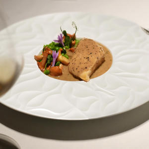 P & T Royalware Fabricante Plato de porcelana China Plato 10 pulgadas Cerámica blanca Platos de fiesta modernos Juego de comedor de lujo personalizado - Product Image 5