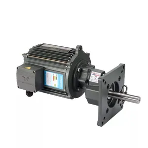 0.75kW 1.1kW 1.5kW Italy Engine Gear Drive Motor For Feeding Line Poultry Farm System