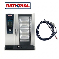Sonde centrale RATIONAL 40.00.608P pour fours vapeur et cuisson tout-en-un
