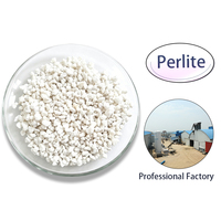 Perlite expansée blanche de qualité horticole du fabricant d'origine, sac jumbo personnalisé pour l'agriculture et les producteurs de pépinières