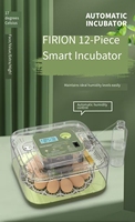 Incubateur d'œufs automatique miniature transparent, couveuse numérique à retournement automatique avec remplissage d'eau automatique pour œufs de cailles, de perroquets et de reptiles