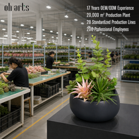 OH ARTS Plantes succulentes artificielles au toucher réel en pot, fausse verdure UV, mini bonsaï sans entretien pour la décoration de la maison et du jardin