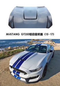 Kit de Carrocería de Alta Calidad para Ford <span class=keywords><strong>Mustang</strong></span> FT350R, Parrilla Delantera <span class=keywords><strong>Shelby</strong></span>, Labio Delantero <span class=keywords><strong>GT350R</strong></span> para <span class=keywords><strong>Mustang</strong></span> 2015-2017 - Product Image 4