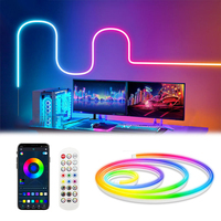 Bande lumineuse LED néon extérieure en plastique 24V RGB à commande vocale USB Epistar, étanche IP67, haute luminosité