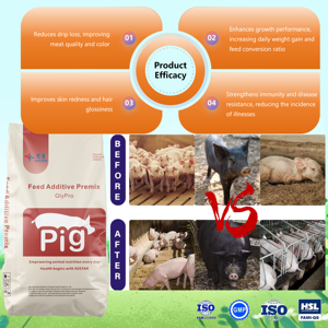 <span class=keywords><strong>Vitamin</strong></span> untuk babi <span class=keywords><strong>Vitamin</strong></span> Mineral <span class=keywords><strong>Premix</strong></span> umpan aditif meningkatkan pertumbuhan hewan pertumbuhan babi promotor Finishing <span class=keywords><strong>Premix</strong></span> - Product Image 3