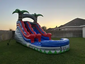 15ft Palm Beach Water Slide Commercial Inflatable Water Slide For Adults With Pool