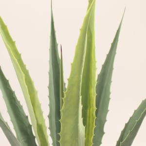 <span class=keywords><strong>บอน</strong></span>ไซประดิษฐ์<span class=keywords><strong>ต้น</strong></span>ไม้เล็กๆเป็นมิตรกับสิ่งแวดล้อมในร่มกลางแจ้งภูมิทัศน์ตกแต่งบ้าน60cm ปรับขนาดได้ - Product Image 2