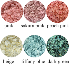 Hot Sale High Quality Room Wall Decoration Valentine's Day Preserved <strong>Hydrangea</strong> with Stem <strong>Artificial</strong> <strong>Hydrangea</strong> Flower - Product Image 6