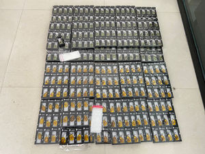 Directo de fábrica Real insecto espécimen ámbar llavero colgante regalo joyería mariquita mariposa escarabajo escorpión resina encantos llavero - Product Image 2