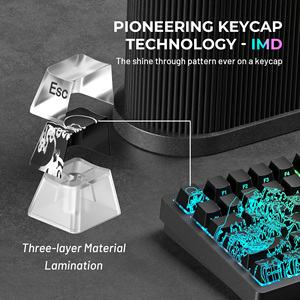 XVX Wave Kanagawa Phiên bản mẫu Shine-Through OEM Profile Bàn phím cơ IMD-Tech Bộ keycap chơi game PBT+PC 118/84/61 Phím - Product Image 6