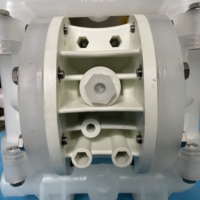 P100 Pneumatische Membranpumpe 0,5 Zoll Pumpe Mit PTFE oder Neopren Membran PTFE Ventilkugel