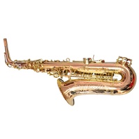 Professional Eb Alto Saxophone Phosphor Bronze Brass Instrument Gold Lacquer Finish With Case