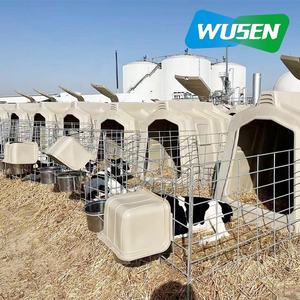 Box per Vitelli/Allevamento Vitelli Attrezzature per Allevamenti Lattiero-Caseari Personalizzazione Fabbriche di Bestiame Vendita all'Ingrosso - Product Image 5