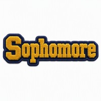 Patch universitaire personnalisé en chenille brodé thermocollant pour veste d'uniforme ; Patch universitaire de cheerleading en chenille