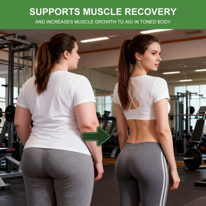 Usine OEM ODM Bandes amincissantes pour la perte de poids en 14 jours Extrait de thé vert Supprime l'appétit Soutient la récupération musculaire - Product Image 6