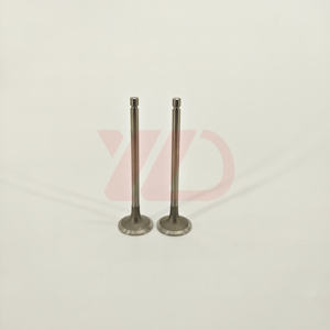 Pièce de rechange pour moteur diesel de machine, systèmes d'admission, soupape d'admission 6L C4981794 4981794 <span class=keywords><strong>C3942588</strong></span> 3942588 5307875 pour Cummins - Product Image 2