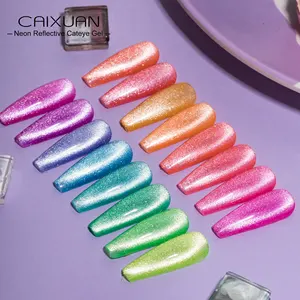 Caixuan 2023 terbaik penjualan Neon reflektif mata kucing Gel 16 warna 1kg magnetik disko kucing mata Gel