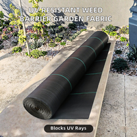 Rouleau de 100 m de tissu tissé anti-mauvaises herbes CHAQ, directement de l'usine, pour l'agriculture, avec service de découpe