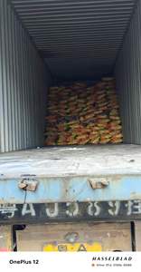 Detergente en Polvo con Aroma Floral <span class=keywords><strong>Premium</strong></span>, Abrillantador de Telas, Anti-Decoloración, Seguro para Secado al Sol, Uso Doméstico en Clima Tropical del Sudeste Asiático - Product Image 4