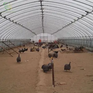 Agriculture 8*30m Cheap Greenhouse Single-span Tunnel Greenhouse Used For Agriculture Tomato Strawberry