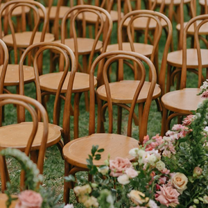 ราคาขายส่งเก้าอี้เรซิ่นทรงโค้งแบบ Thonet สำหรับงานกลางแจ้ง ทนทาน เหมาะสำหรับงานแต่งงาน โรงแรม และรับประทานอาหาร พร้อมเบาะรองนั่ง - Product Image 1