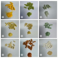 Prix d'usine OEM, 60 capsules, capsules pour le soin des poumons, complément alimentaire à base de plantes naturelles pour adultes, soutient la santé pulmonaire