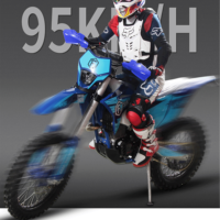 Moto de course à essence 250CC ZS CB250 Moteur 2 temps Motocross Tout-terrain Dirt Bike Pit Bike à vendre