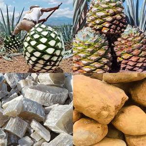 Machine de découpe de gel de cire Machine à trancher la gelée de <span class=keywords><strong>vaseline</strong></span> Couper la grande matière première en petit morceau de cube - Product Image 2