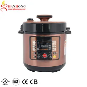 Brand New Thermo Electric Covers Function Distilling Fried Chicken Pressure Cooker