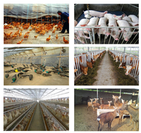 2024 Offre Spéciale poulet chien chèvre bétail canard oie poisson alimentaire Machine à granulés Machine granulaire machines de traitement des aliments