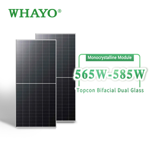 Impianto Solare Ibrido Deye con Connessione alla Rete e Batteria a Lunga Durata per un Utilizzo Sostenibile dell'Energia - Product Image 5