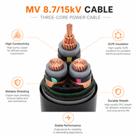 8,7KV 10KV 15kV 20KV XLPE/SWA/PVC Mittelspannungs-Stromkabel YJV32 Kupferkabel IEC 60502-2 95mm 120mm 150mm 185mm 240mm 300mm
